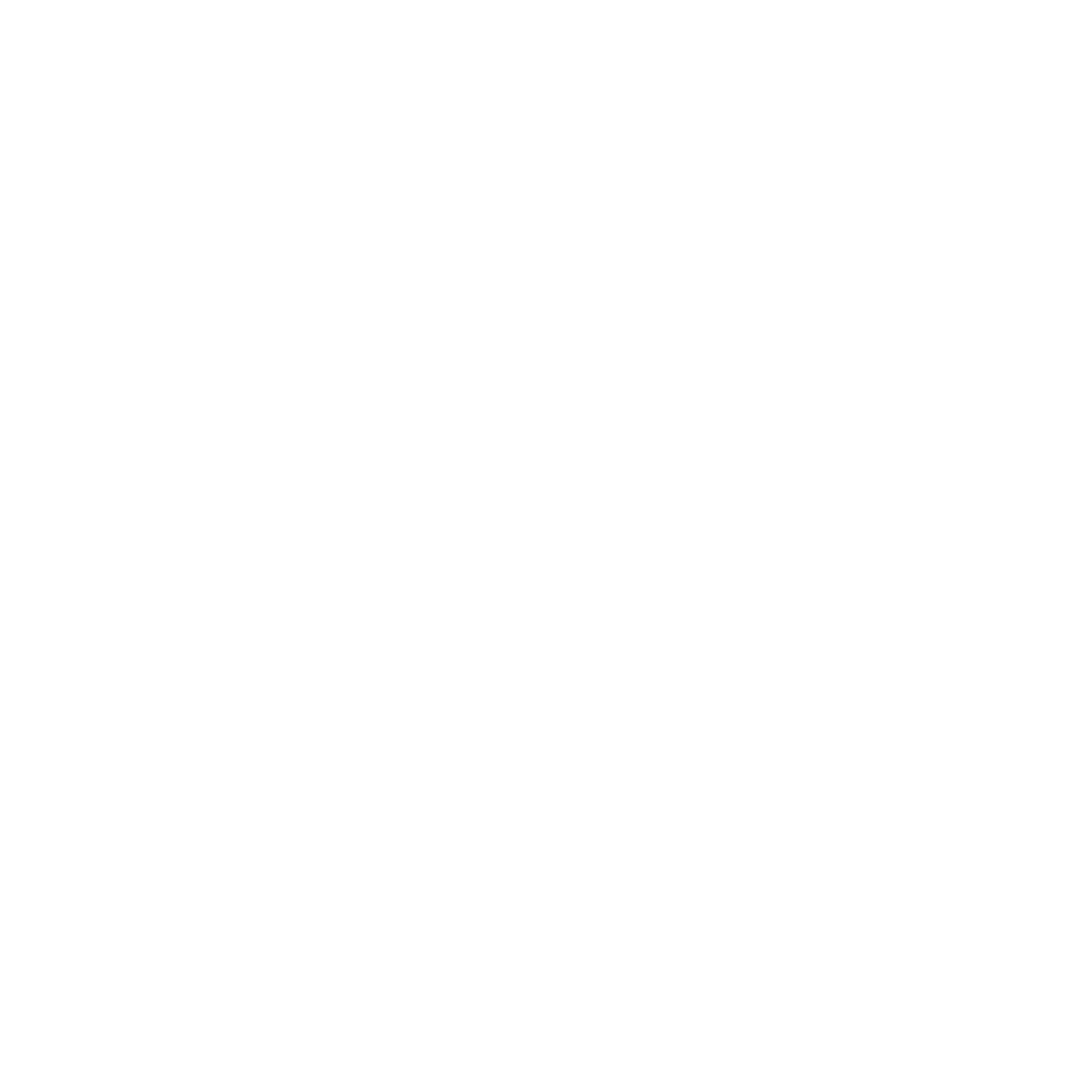 NXT Logo